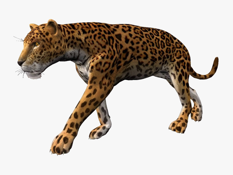 Transparent Leopard Png - Leopard Animation, Transparent Clipart