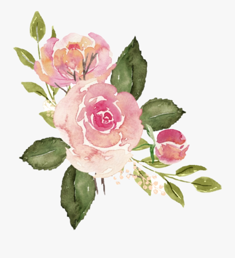 #watercolor #roses #flowers #floral #bouquet #pink - Watercolor Pink Rose Png, Transparent Clipart