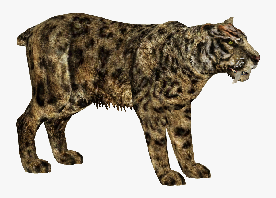 Transparent Saber Tooth Tiger Clipart - Saber Toothed Cat Png, Transparent Clipart