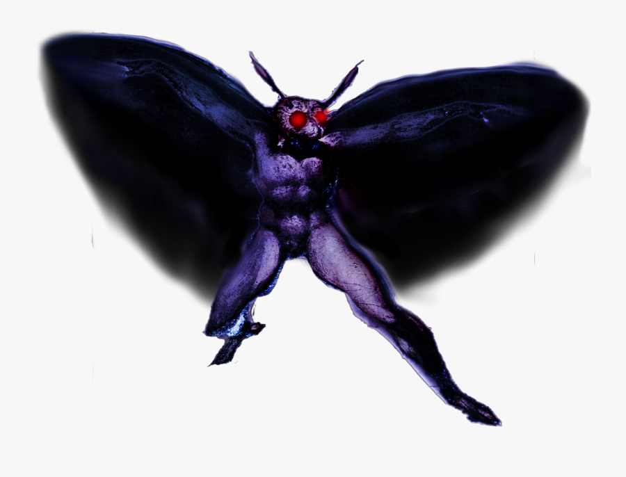 Transparent Mothman Png - Butterfly, Transparent Clipart