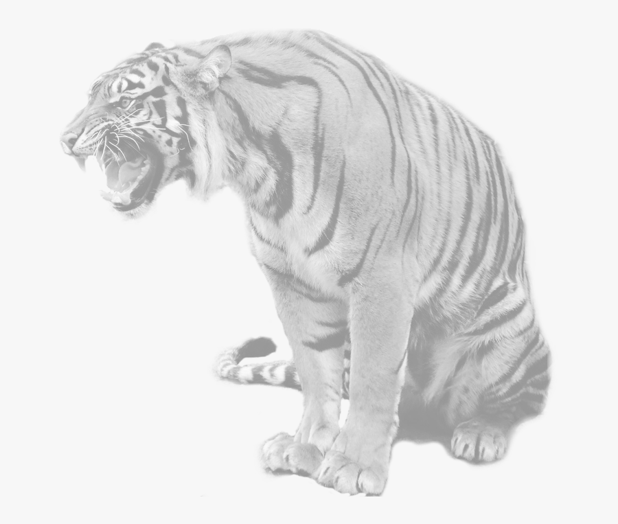 Transparent Tony The Tiger Png - Blue Maltese Tiger Real, Transparent Clipart