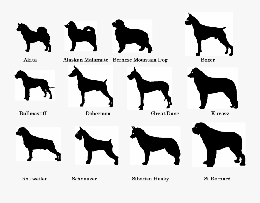 all dog breeds