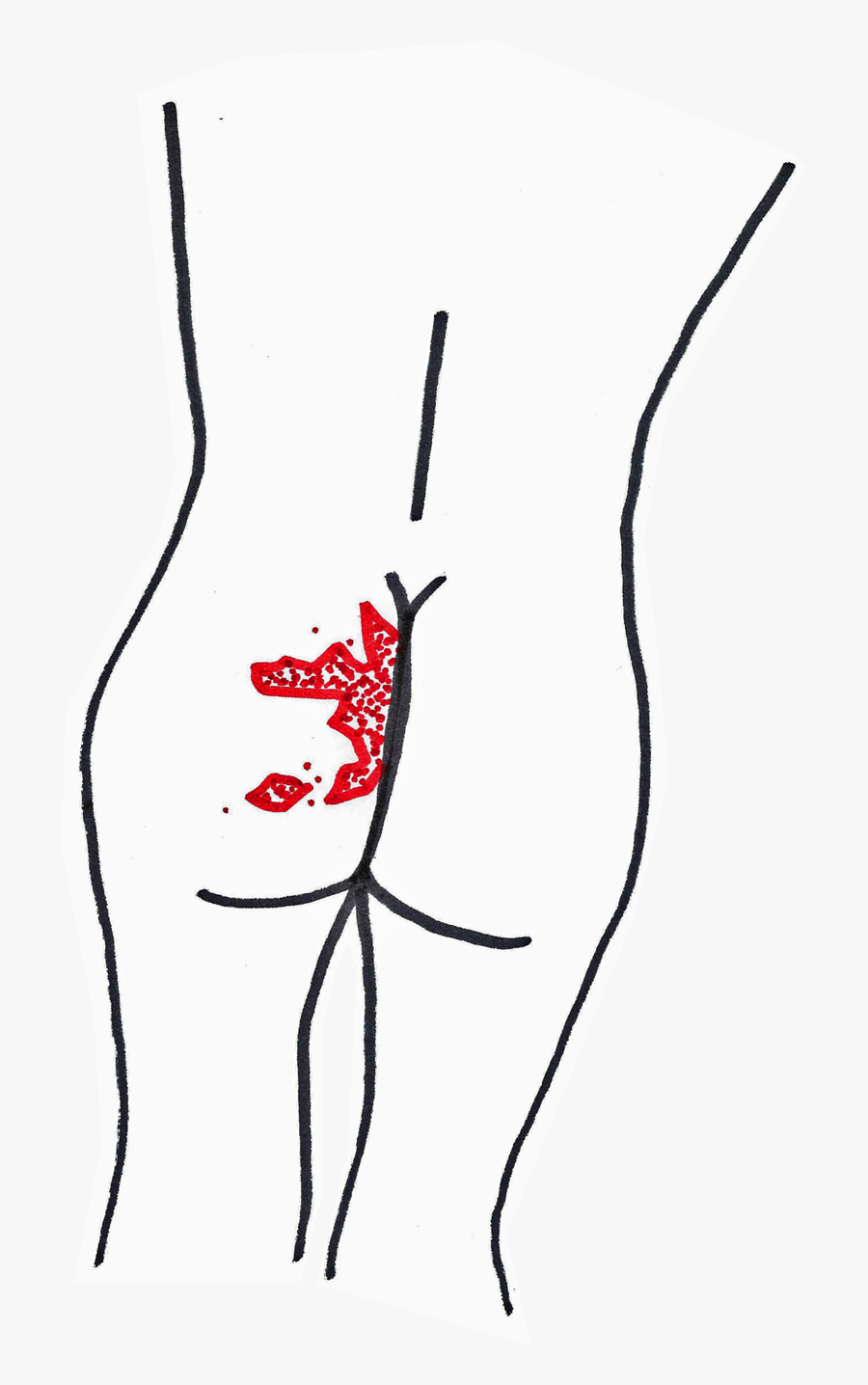 Butt Drawing Itch - Sketch, Transparent Clipart