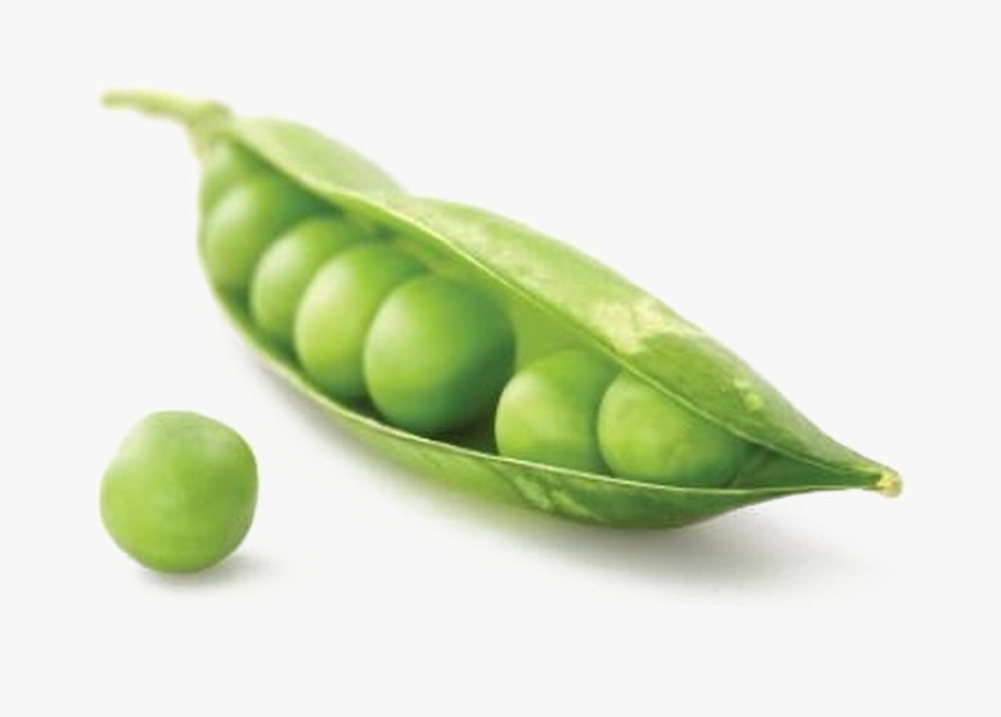 Pea, Transparent Clipart