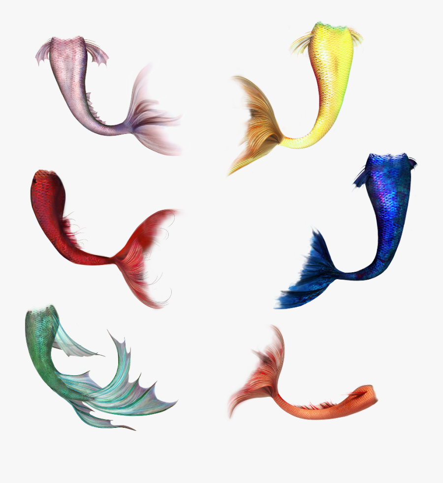 Red Mermaid Tail Png Clipart , Png Download - Mermaid Tail Png Free, Transparent Clipart