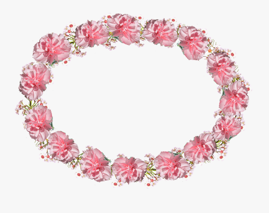 Transparent Red Carnation Png - Pink Flower Circle Frame Png, Transparent Clipart