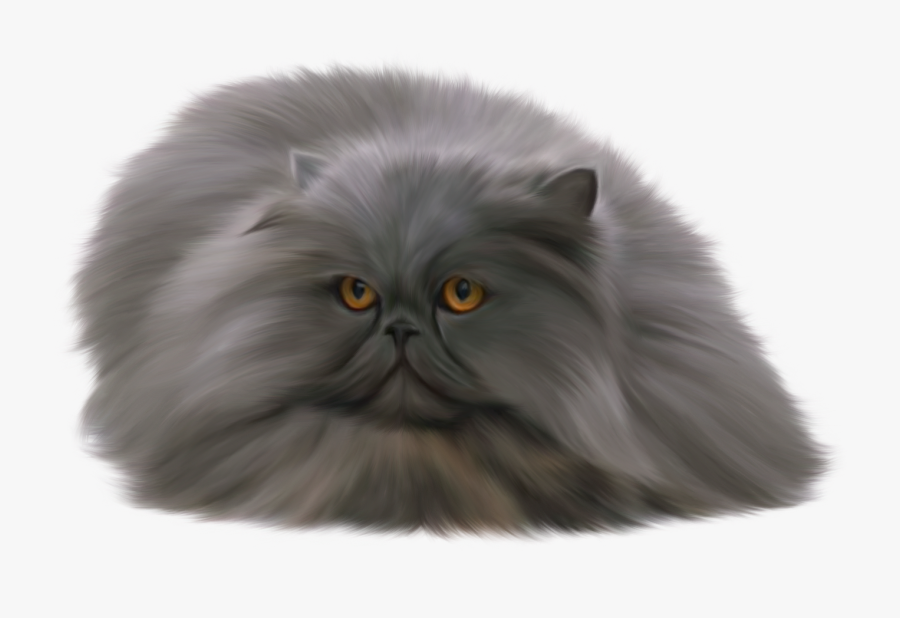 Clip Art Persian British Shorthair Clip - Grey Cat Transparent Background, Transparent Clipart