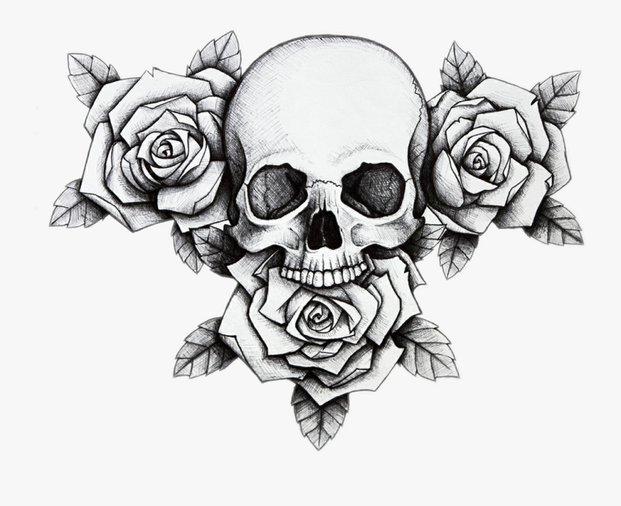 Skull Flower Rose Dead Skull And Rose Drawing Free Transparent Clipart Clipartkey Make your kids learn how to draw a rose step by step. skull flower rose dead skull and