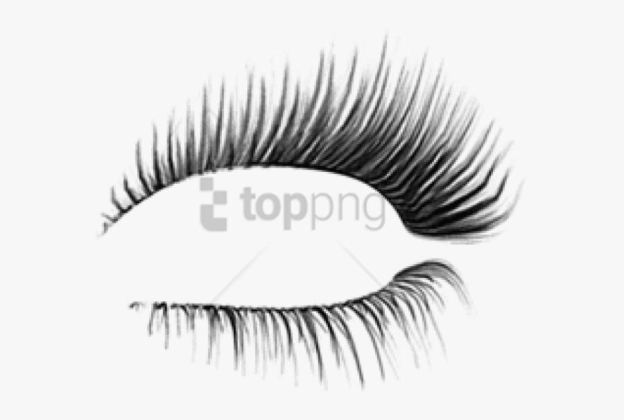 Transparent Background Eyelashes Png , Transparent - Transparent Background Eyelash Png, Transparent Clipart