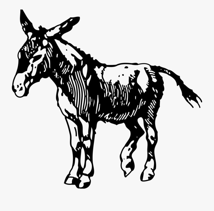 Donkey Drawing Download Graphic Arts Cc0 - Donkey Black And White, Transparent Clipart