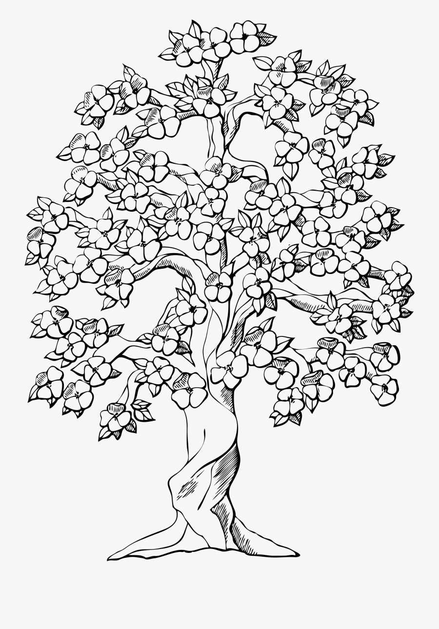Transparent Magnolia Clipart Black And White - Draw A Flower Tree, Transparent Clipart