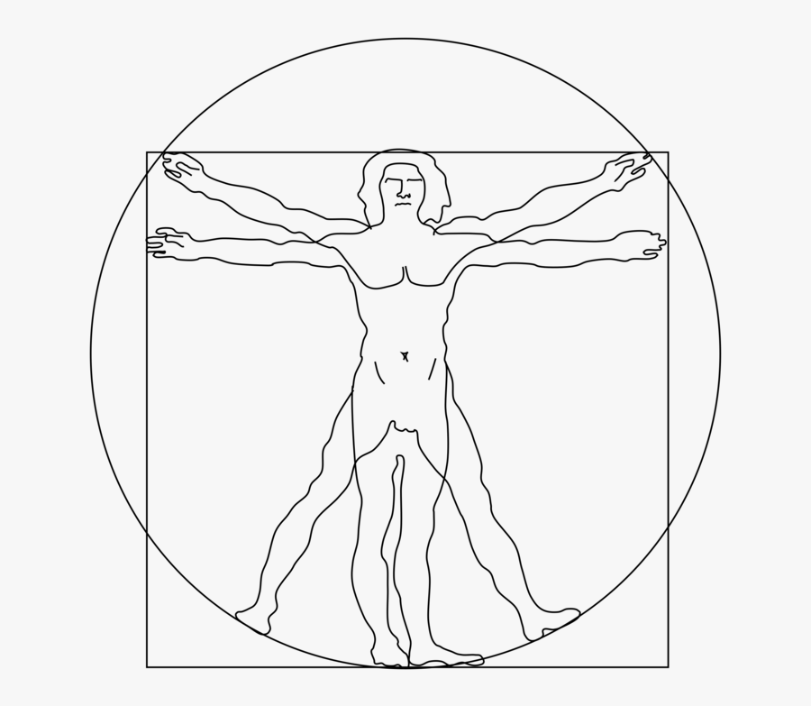 Art,symmetry,figure Drawing - Vitruvian Man Transparent Background ...