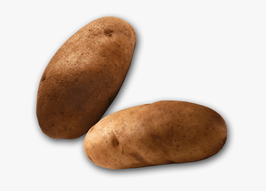 Single Potato Hd Image Png, Transparent Clipart