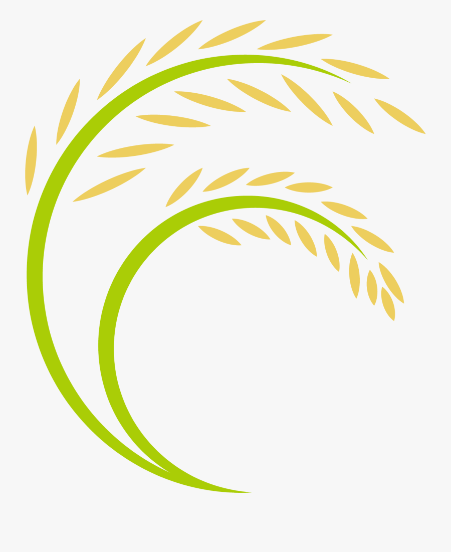 Transparent Rice Plant Png - Paddy Rice Logo Png, Transparent Clipart