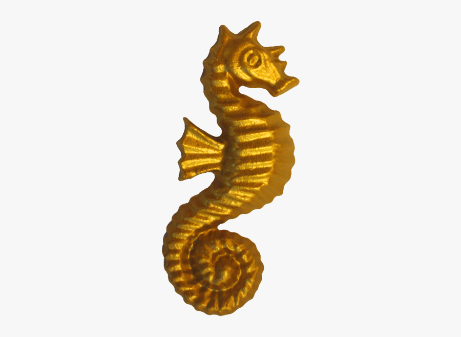 Clip Art Seahorse Illustration - Illustration, Transparent Clipart