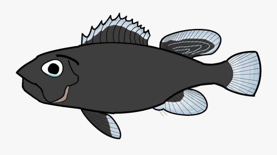 transparent sad fish png california flounder free transparent clipart clipartkey