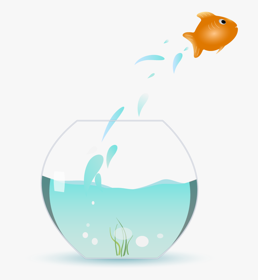 Fish Jumping Out Of Bowl , Free Transparent Clipart - ClipartKey