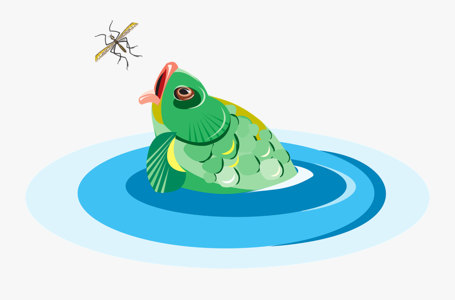 Fish, Bug, Water, Reaching, Eating - Cartoon Fish Eating An Insect, Transparent Clipart