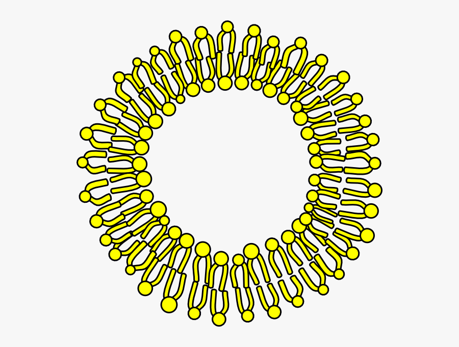 Cell Membrane Clip Art At Clker - Vesicle Clipart, Transparent Clipart