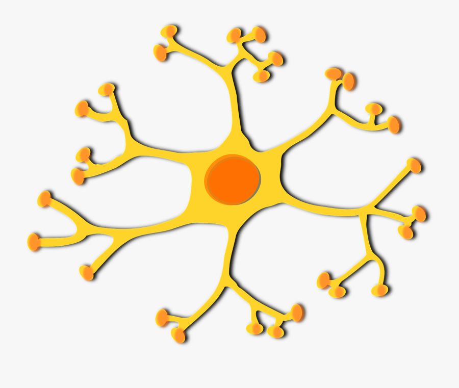 Brain Cell Clipart, Transparent Clipart