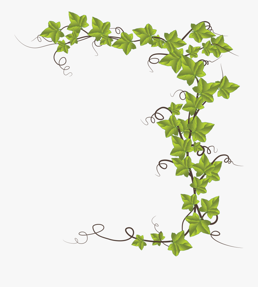 Ivy Vine Silhouette, Transparent Clipart