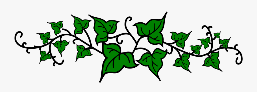 Ivy Clipart Svg - Transparent Background Ivy Leaf Clipart, Transparent Clipart