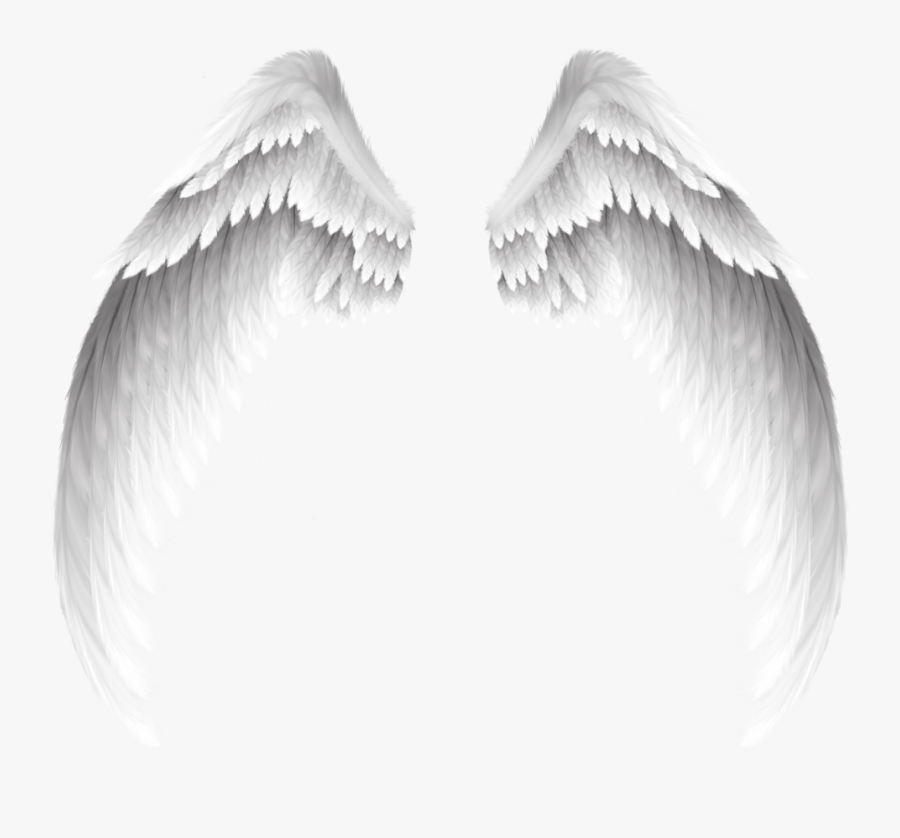 White Pretty Angel Wings Download Free Image Clipart - White And Red Angel Wings, Transparent Clipart