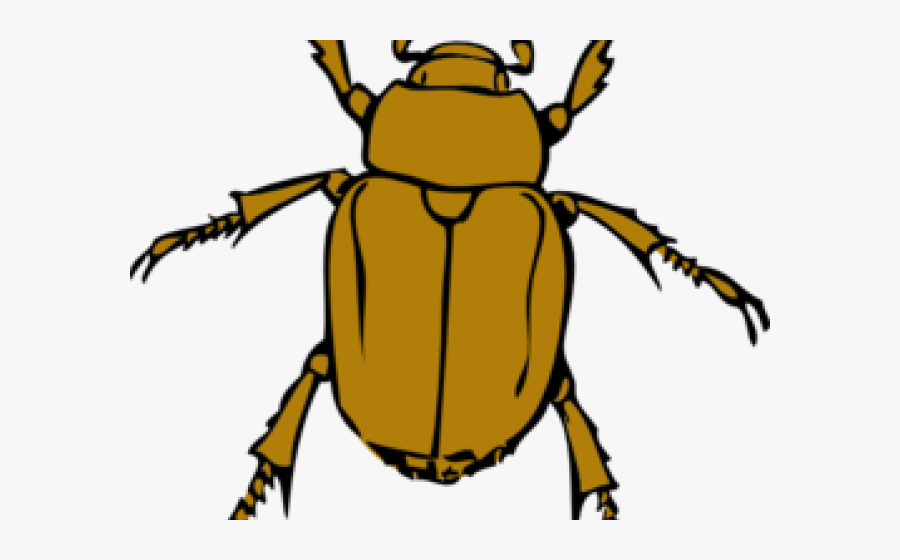 Insect Clipart, Transparent Clipart