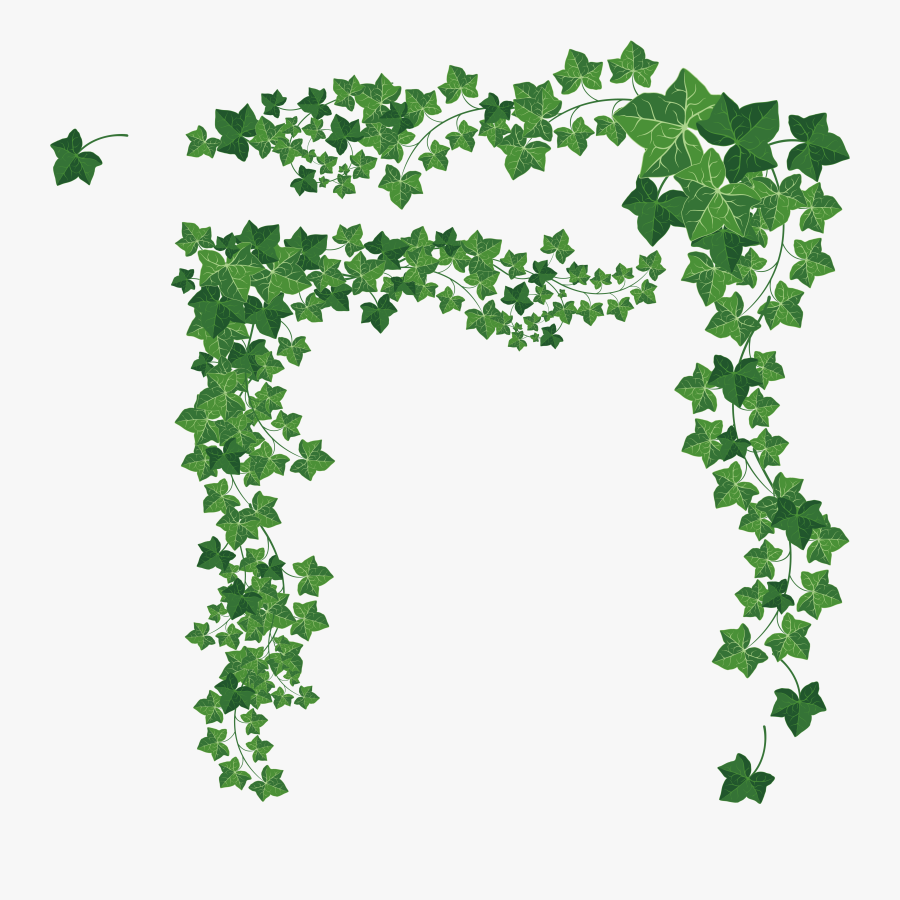 Transparent Jungle Vines Png, Transparent Clipart