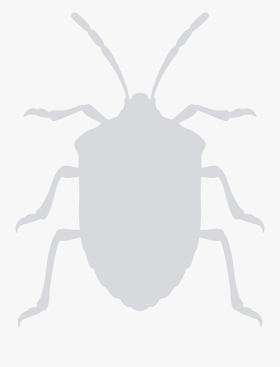 Symmetry,sticker,weevil - Hemiptera Png, Transparent Clipart