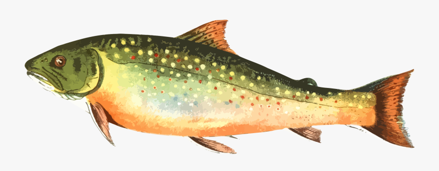 Coastal Cutthroat Trout,marine Biology,sardine - Brook Trout Free Icon, Transparent Clipart