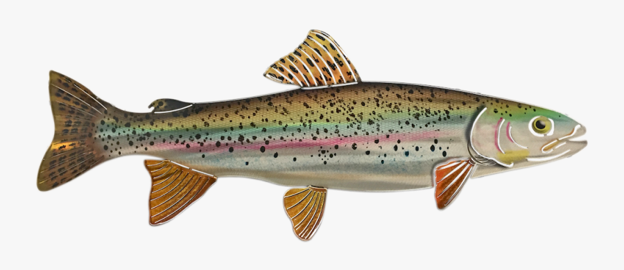 Rainbow Png Coastal Cutthroat Trout- - Coastal Cutthroat Trout, Transparent Clipart