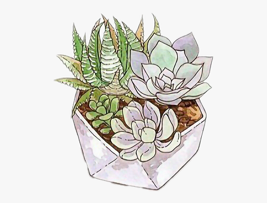 #freetoedit #cactus #succulent #tumblr - Succulent Art, Transparent Clipart