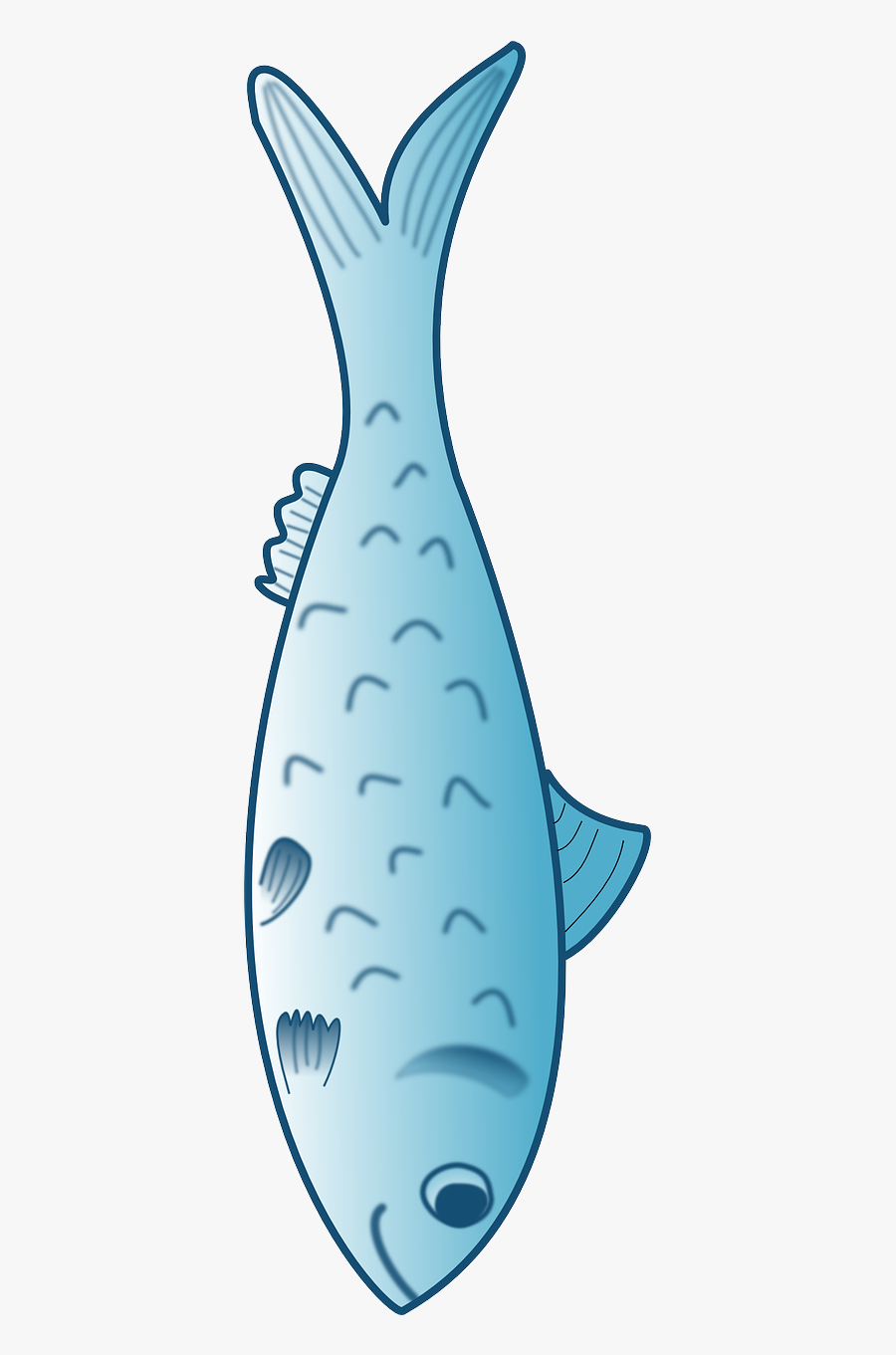 Fish Animal Marine Ocean - Fish Food Clip Art, Transparent Clipart