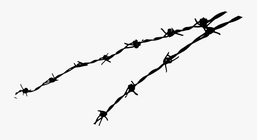 Barbed Wire Png, Transparent Clipart