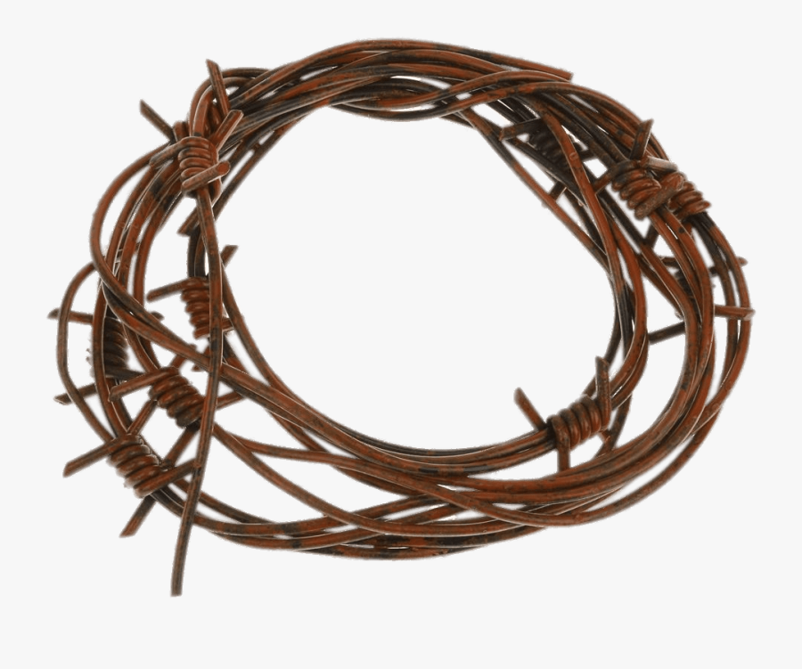 Barbed Wire Fake - Rusty Barb Wire, Transparent Clipart