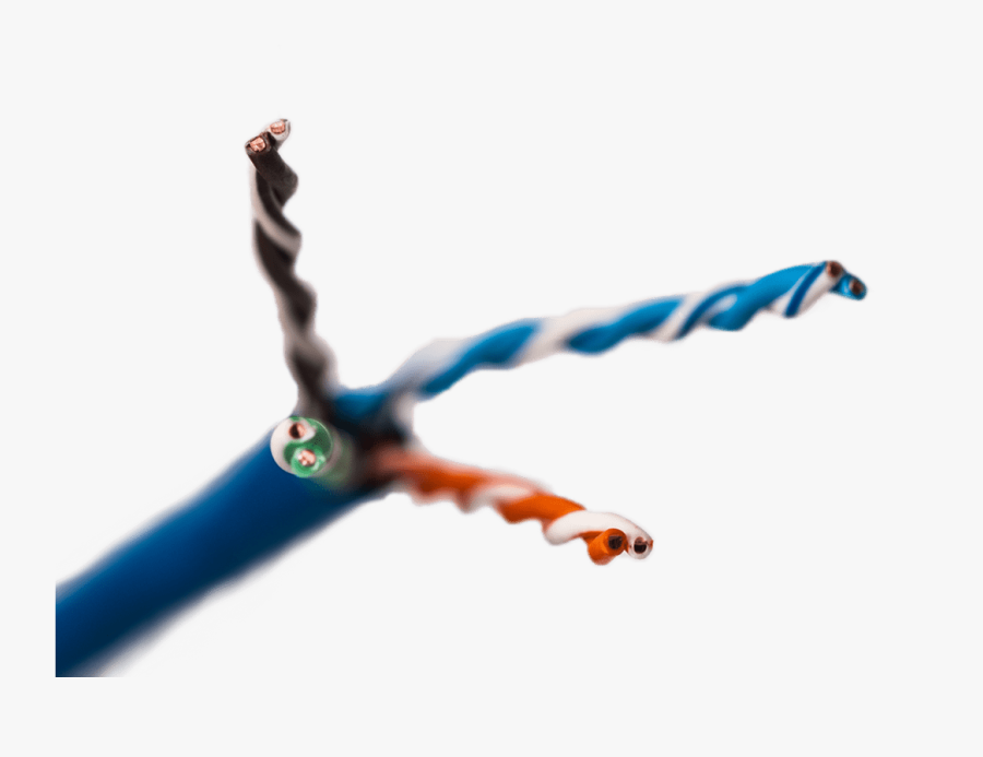 Networking Cables Clipart , Png Download - Networking Cables, Transparent Clipart