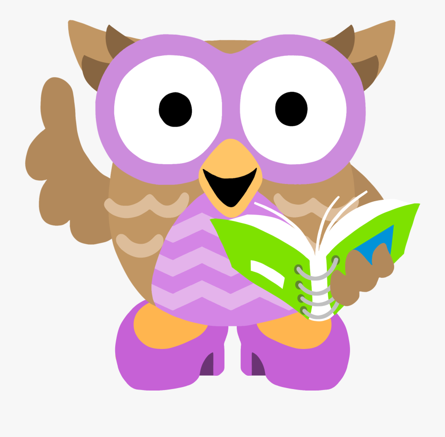 Owl Math, Transparent Clipart