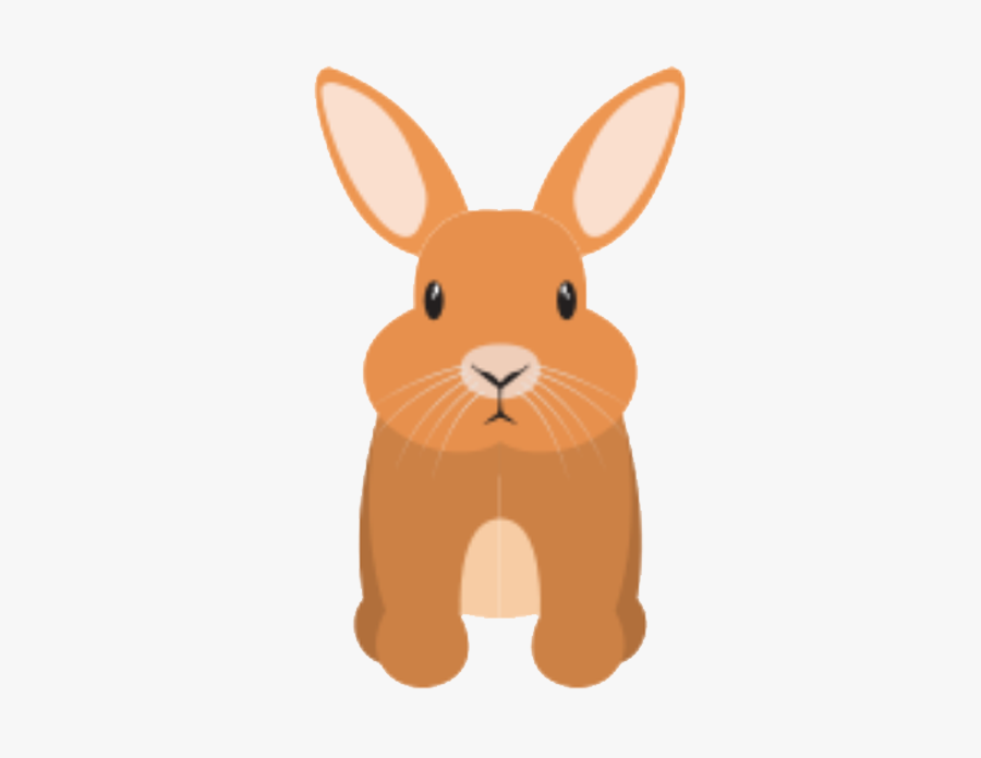 Domestic Rabbit, Transparent Clipart