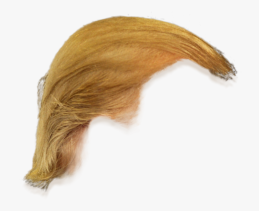 Donald Trump Hair Side View Png Transparent Clipart - Donald Trump Hair Png Transparent, Transparent Clipart