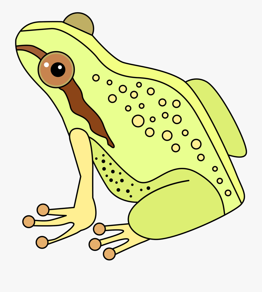 Mink Frog, Transparent Clipart