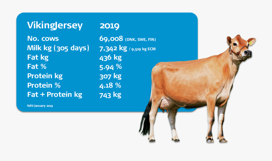 Interbull Evaluations Dairy Cow - Horse, Transparent Clipart