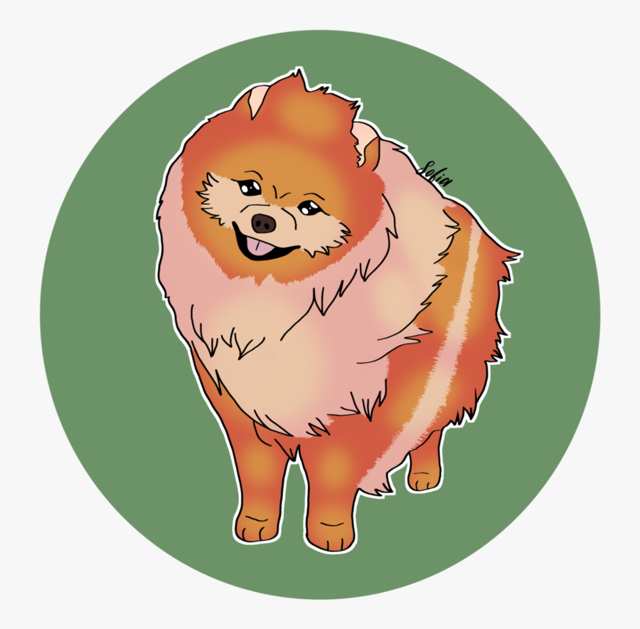 Clip Art Cat Snout Transprent Png - Pomeranian, Transparent Clipart