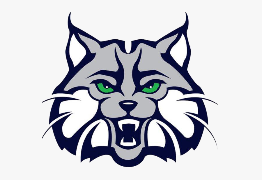 Picture Somerset Lone Mountain Wildcat , Free Transparent Clipart