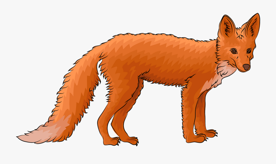 Swift Fox, Transparent Clipart