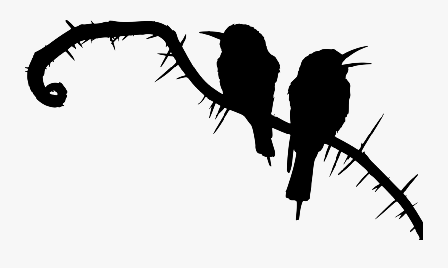 Photography - Bee Eater Bird Silhouette, Transparent Clipart