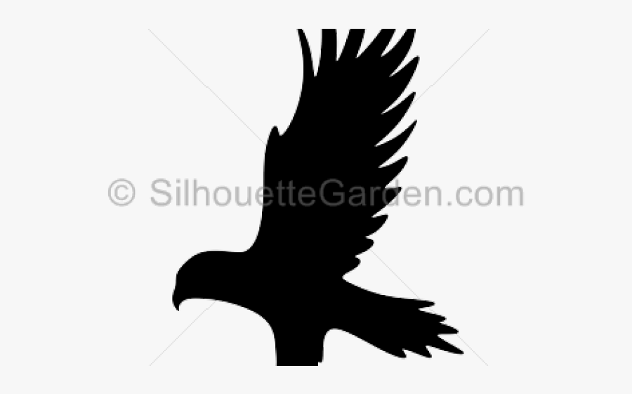 Drawn Hawk Silhouette - Hawk, Transparent Clipart