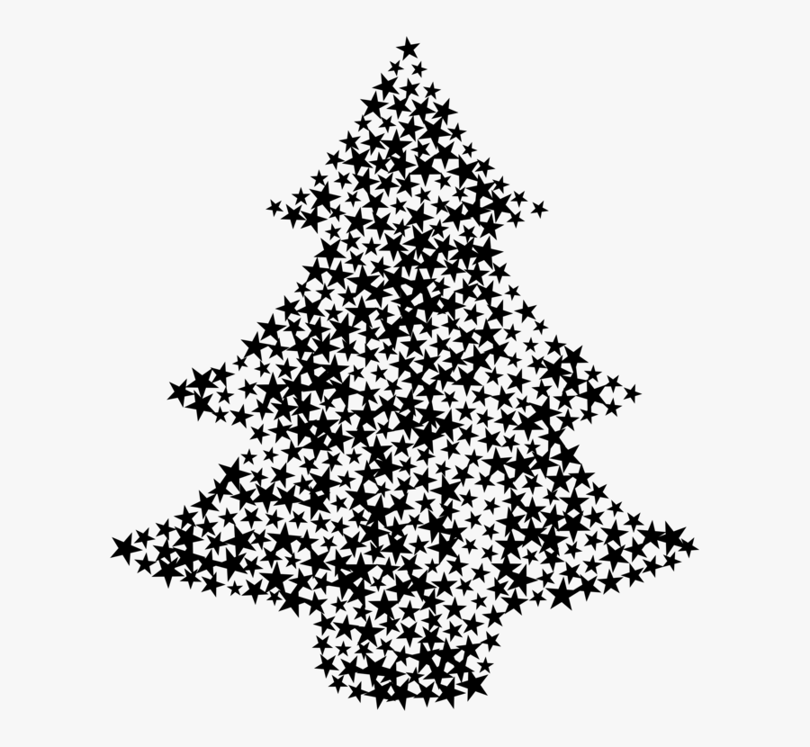 Fir,pine Family,christmas Decoration - Christmas Tree, Transparent Clipart