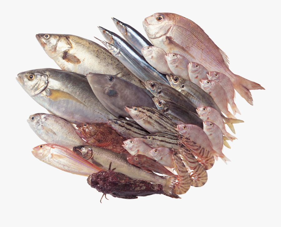 Fish Png - Fish Meat Images Png, Transparent Clipart