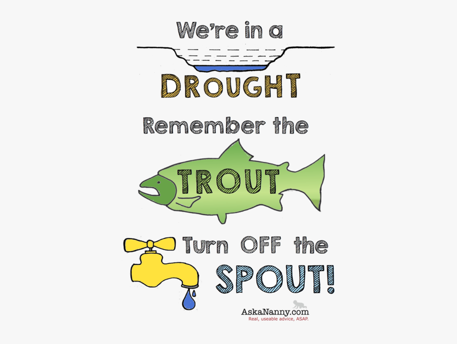 Trout, Transparent Clipart